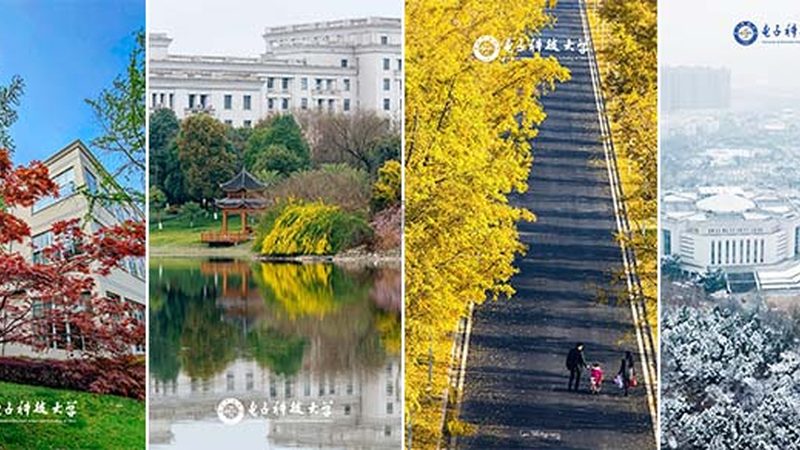 电阻与电容：揭秘电子电路中的关键元件